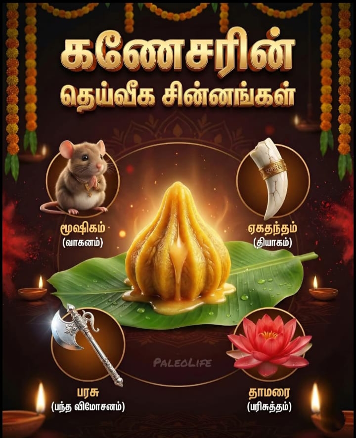 Gallery Image 38